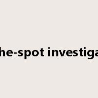 on-the-spot investigation是什么意思
