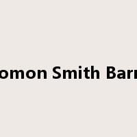 Salomon Smith Barney是什么意思