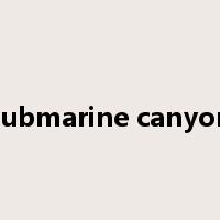 submarine canyon是什么意思