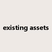 existing assets是什么意思