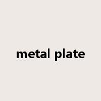 metal plate是什么意思