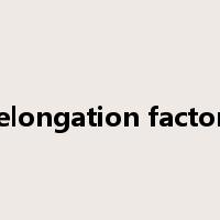 elongation factor是什么意思