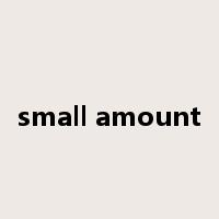 small amount是什么意思