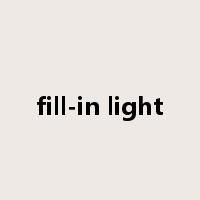 fill-in light是什么意思