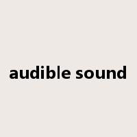 audible sound是什么意思