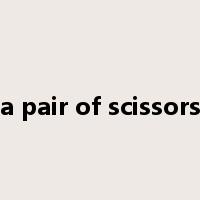 a pair of scissors是什么意思