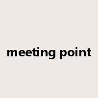 meeting point是什么意思