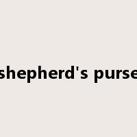 shepherd's purse是什么意思
