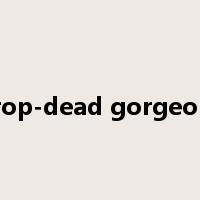 drop-dead gorgeous是什么意思
