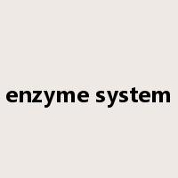 enzyme system是什么意思