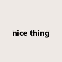 nice thing是什么意思