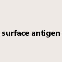 surface antigen是什么意思