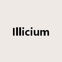 Illicium是什么意思