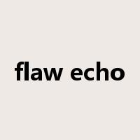 flaw echo是什么意思