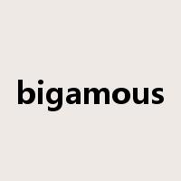 bigamous是什么意思