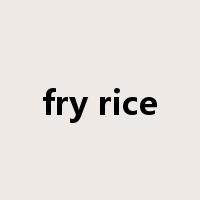fry rice是什么意思