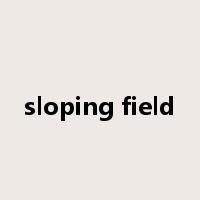 sloping field是什么意思