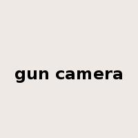 gun camera是什么意思