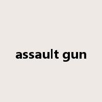 assault gun是什么意思
