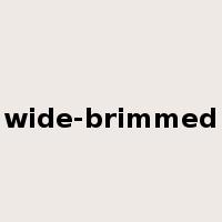 wide-brimmed是什么意思