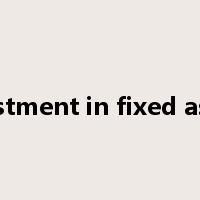 investment in fixed assets是什么意思