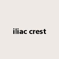 iliac crest是什么意思