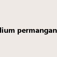 sodium permanganate是什么意思