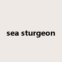 sea sturgeon是什么意思