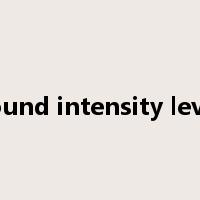 sound intensity level是什么意思