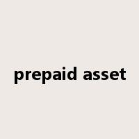 prepaid asset是什么意思