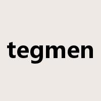 tegmen是什么意思