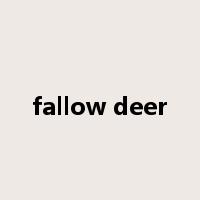 fallow deer是什么意思