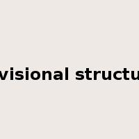 Divisional structure是什么意思