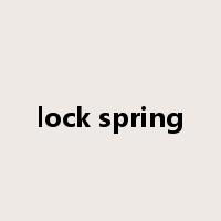 lock spring是什么意思