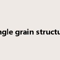 single grain structure是什么意思