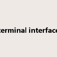 terminal interface是什么意思