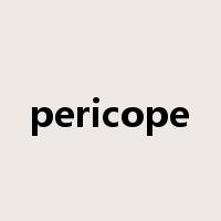 pericope是什么意思