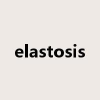elastosis是什么意思