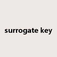 surrogate key是什么意思
