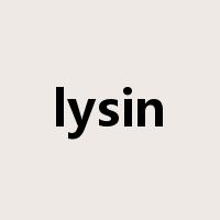 lysin是什么意思