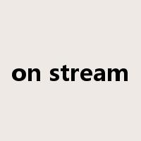 on stream是什么意思