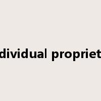 individual proprietor是什么意思