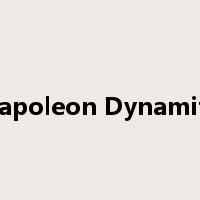 Napoleon Dynamite是什么意思