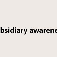 subsidiary awareness是什么意思