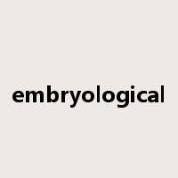embryological是什么意思
