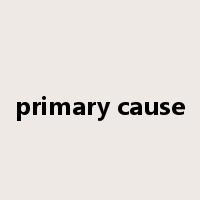 primary cause是什么意思