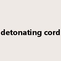 detonating cord是什么意思