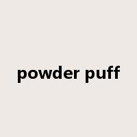 powder puff是什么意思