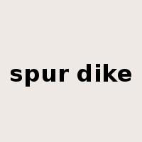 spur dike是什么意思