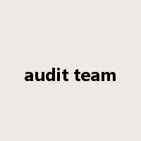 audit team是什么意思